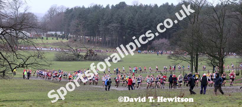 Senior mens Northern Cross Country Champs, Knowsley Safari Park. Photo: David T. Hewitson/Sports for All Pics